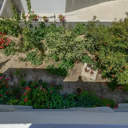 Margaritis Αγία Άννα